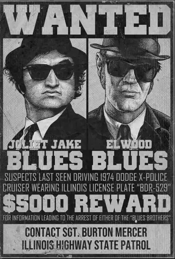 Plakat do filmu "Blues Brothers" #658051