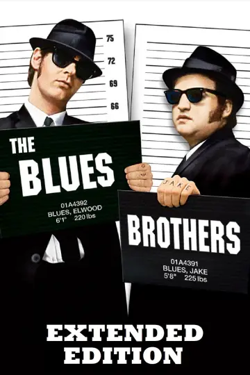 Plakat do filmu "Blues Brothers" #658058