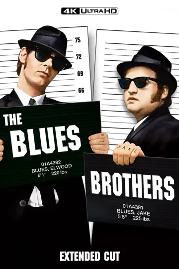 Plakat do filmu "Blues Brothers" #658059
