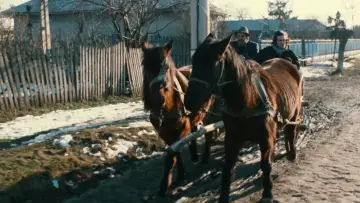Zasłona do filmu "Gadjo Dilo" #1912602