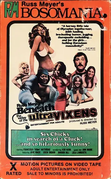 Plakat do filmu "Beneath the Valley of the Ultra-Vixens" #1087754