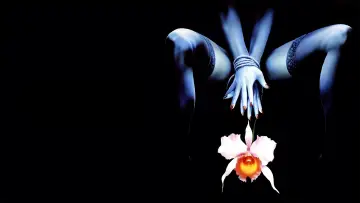 Zasłona do filmu "Dzika Orchidea 2: Smutna opowieść o Blue" #394095