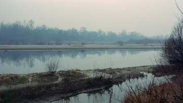 Zasłona do filmu "Teoremat" #239894