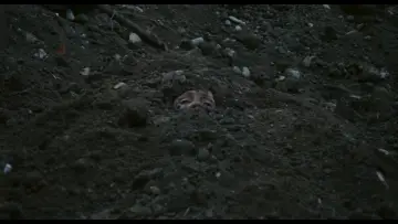 Zasłona do filmu "Teoremat" #904929