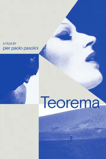 Plakat do filmu "Teoremat" #991341