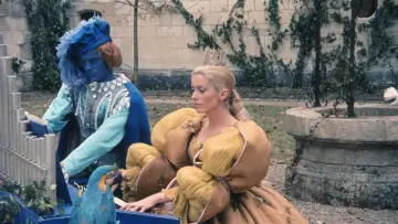 Zasłona do filmu "Królewna w oślej skórze" #230024