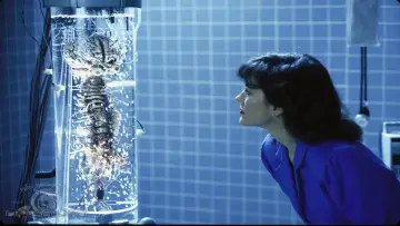 Zasłona do filmu "RoboCop 2" #1532365