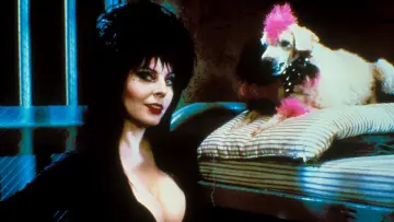 Zasłona do filmu "Elvira, władczyni ciemności" #278256