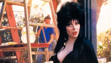 Zasłona do filmu "Elvira, władczyni ciemności" #278258