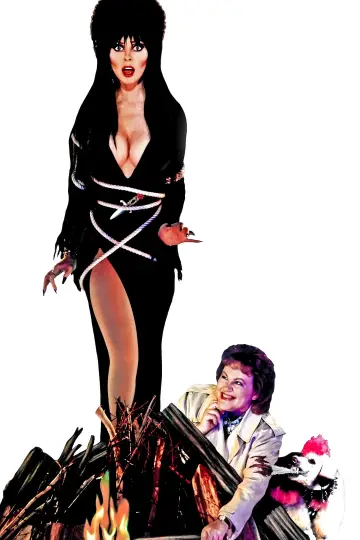 Plakat do filmu "Elvira, władczyni ciemności" #278295