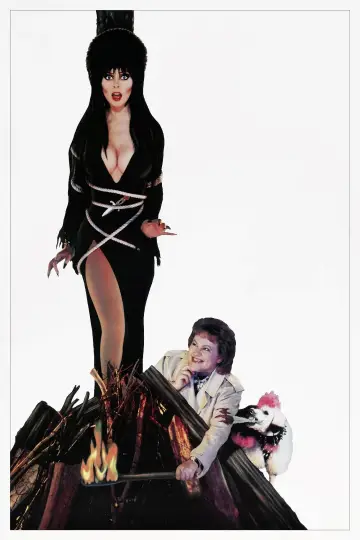 Plakat do filmu "Elvira, władczyni ciemności" #278297