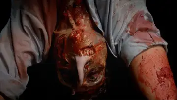 Zasłona do filmu "Biohazard" #1129456