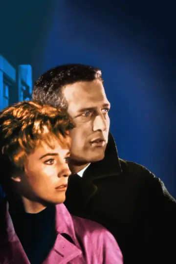 Plakat do filmu "Rozdarta kurtyna" #352945