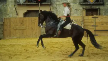 Zasłona do filmu "Bolero" #1098338