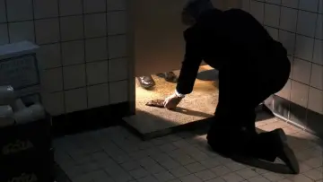 Zasłona do filmu "Ober" #1132264