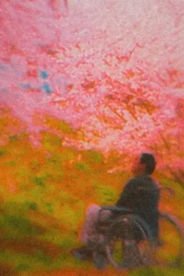 Plakat do filmu "Hana-bi" #711011