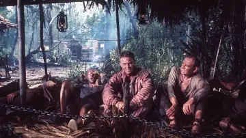 Zasłona do filmu "Motylek" #185068