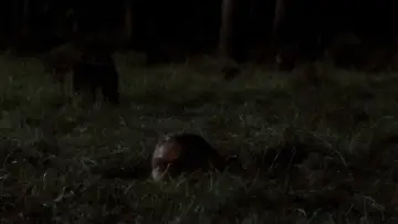 Zasłona do filmu "Wielka Ucieczka" #751815