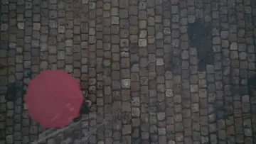Zasłona do filmu "Parasolki z Cherbourga" #893940
