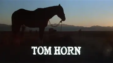 Zasłona do filmu "Tom Horn" #1099636