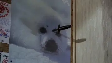 Zasłona do filmu "Rybka zwana Wandą" #807951