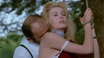 Zasłona do filmu "Piękność dnia" #218459