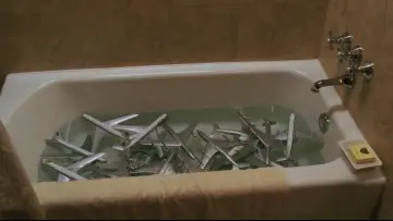 Zasłona do filmu "Złap mnie, jeśli potrafisz" #1626615