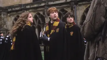 Zasłona do filmu "Harry Potter i Komnata Tajemnic" #487270