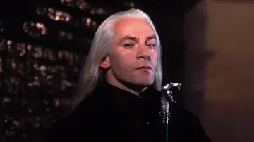 Zasłona do filmu "Harry Potter i Komnata Tajemnic" #560968