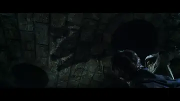 Zasłona do filmu "Harry Potter i Komnata Tajemnic" #560979