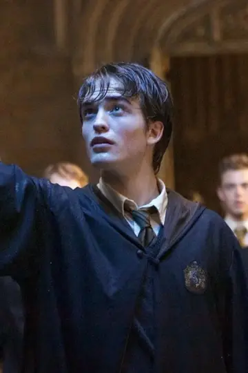 Plakat do filmu "Harry Potter i Czara Ognia" #1721647