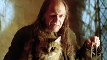 Zasłona do filmu "Harry Potter i Czara Ognia" #186070