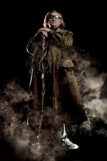 Plakat do filmu "Harry Potter i Czara Ognia" #186074