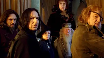 Zasłona do filmu "Harry Potter i Czara Ognia" #487329