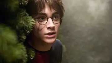 Zasłona do filmu "Harry Potter i Czara Ognia" #556545