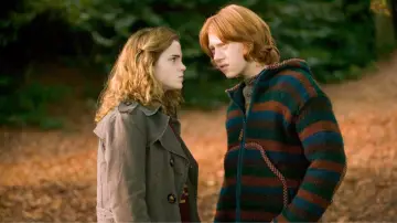 Zasłona do filmu "Harry Potter i Czara Ognia" #556559