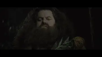 Zasłona do filmu "Harry Potter i Czara Ognia" #556581