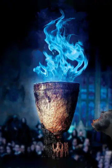 Plakat do filmu "Harry Potter i Czara Ognia" #556598