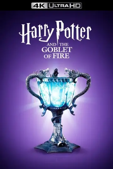 Plakat do filmu "Harry Potter i Czara Ognia" #7813