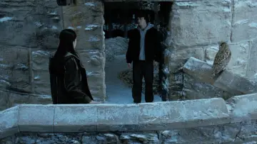 Zasłona do filmu "Harry Potter i Czara Ognia" #802005