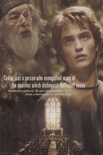 Plakat do filmu "Harry Potter i Czara Ognia" #829991