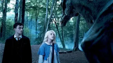 Zasłona do filmu "Harry Potter i Zakon Feniksa" #552398
