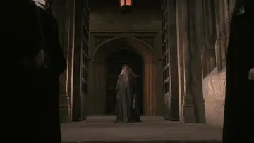 Zasłona do filmu "Harry Potter i Zakon Feniksa" #552436