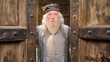Zasłona do filmu "Harry Potter i Zakon Feniksa" #552467