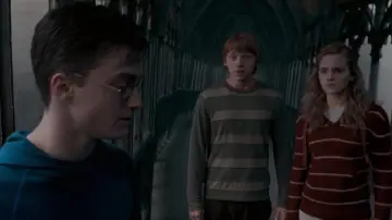 Zasłona do filmu "Harry Potter i Zakon Feniksa" #831057