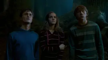 Zasłona do filmu "Harry Potter i Zakon Feniksa" #831061
