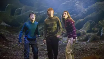 Zasłona do filmu "Harry Potter i Zakon Feniksa" #959880