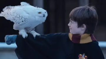 Zasłona do filmu "Harry Potter i Kamień Filozoficzny" #164642