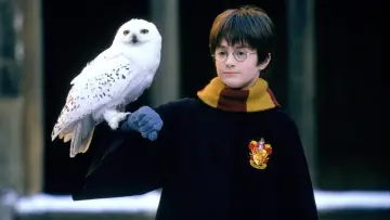 Zasłona do filmu "Harry Potter i Kamień Filozoficzny" #164644