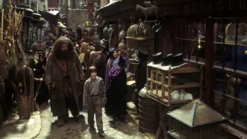 Zasłona do filmu "Harry Potter i Kamień Filozoficzny" #1850440